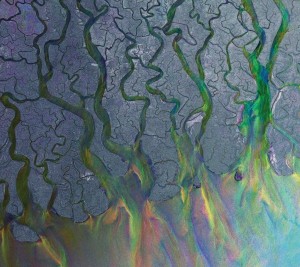 alt j